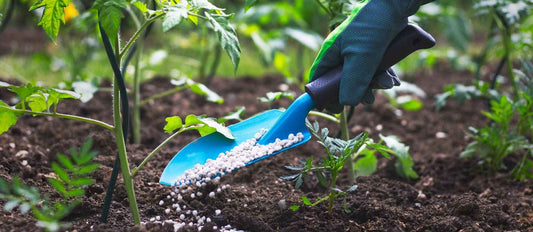 Alles over het bemesten van jouw tuin