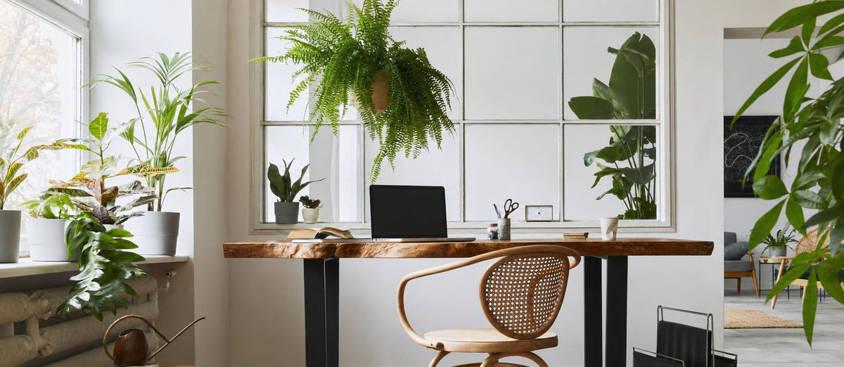 Spelen met groen in kleinere ruimtes in huis