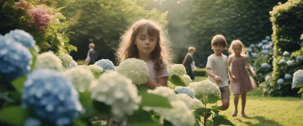 Tips voor het snoeien van stralende hortensia's
