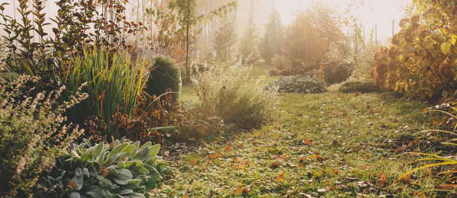 Winter checklist:  maak jouw tuin, (dak)terras of balkon winterklaar