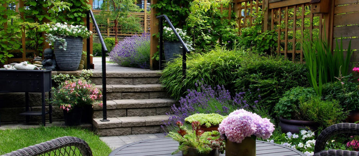 Top 10 snelgroeiende tuinplanten