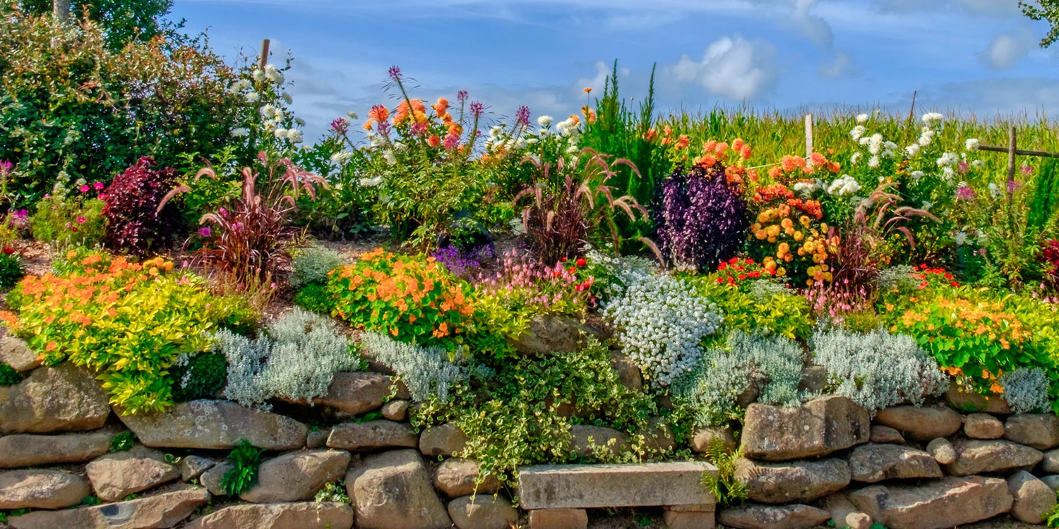 Green Days tot 50% korting!