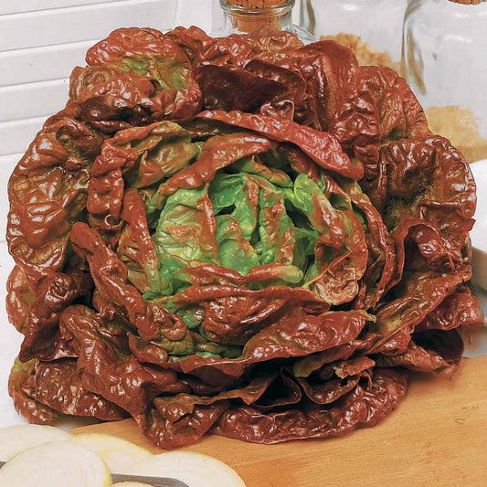 Kropsla 'Wonder der Vier Jaargetijden' - Bakker