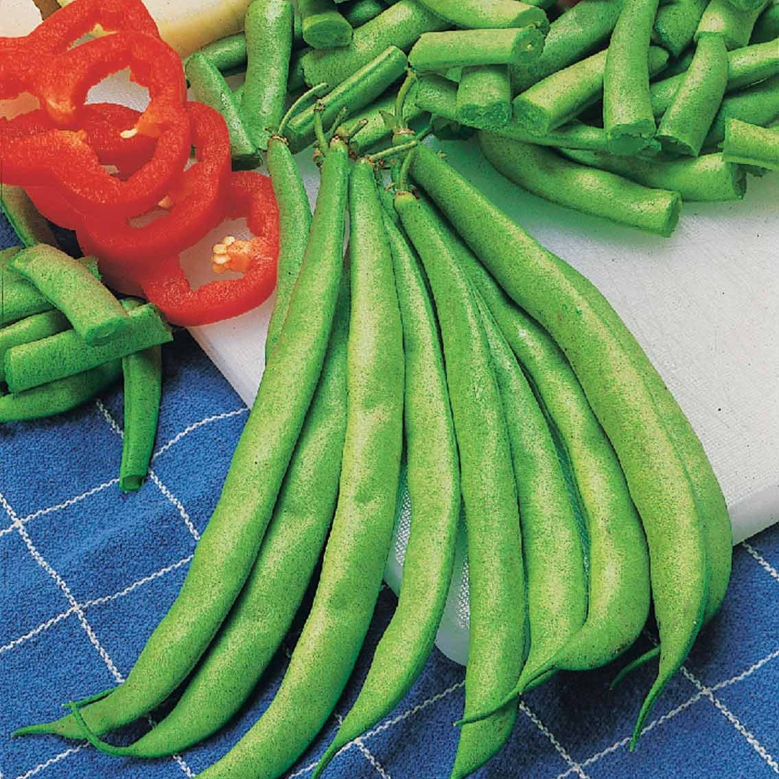 Sperzieboon 'Contender' - Phaseolus vulgaris Contender - Bakker