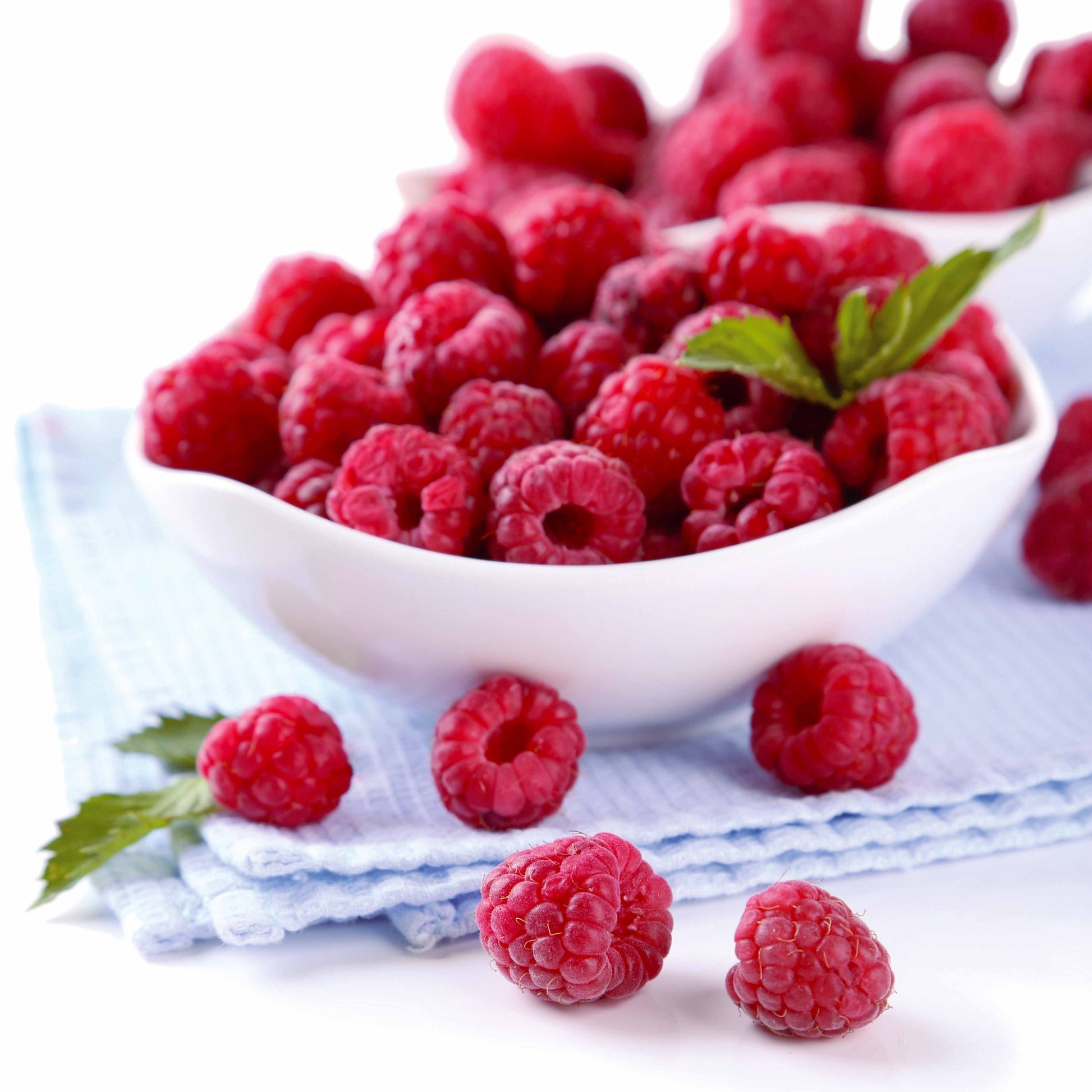 Framboos 'Heritage' - Rubus idaeus Heritage - Bakker