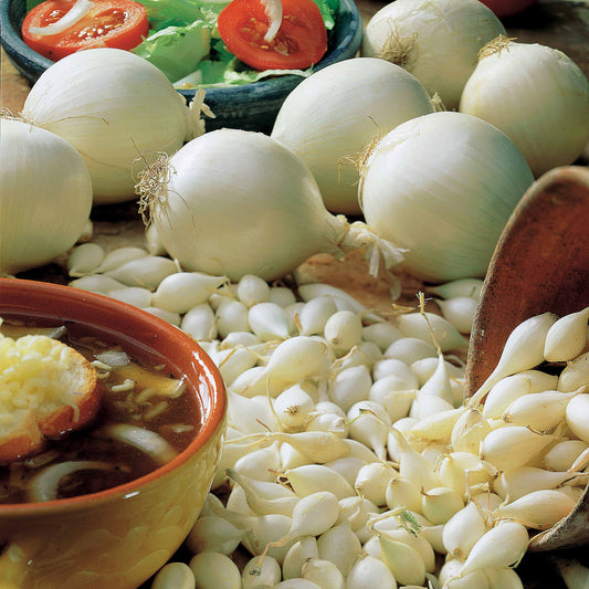 Uiencollectie: Sneeuwbal, Stuttgart, Brunswijk (x3) - Bakker