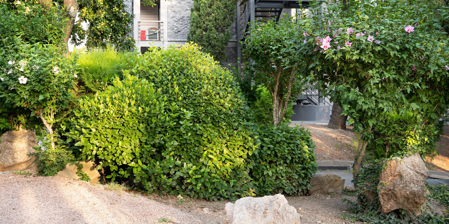 Schatten, Frische und Natur bis zu 30% Rabatt!