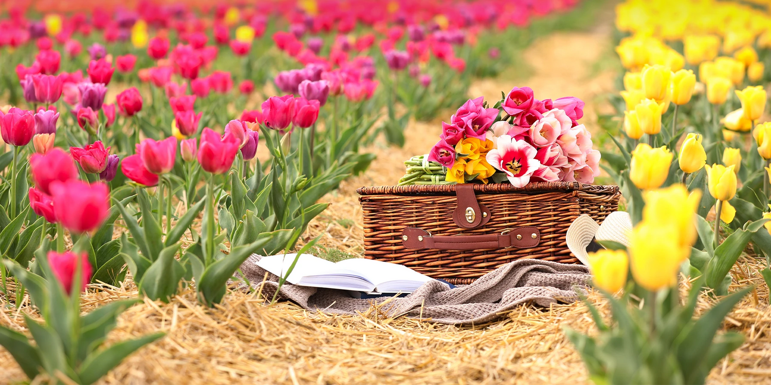 Een pluktuin in de lente