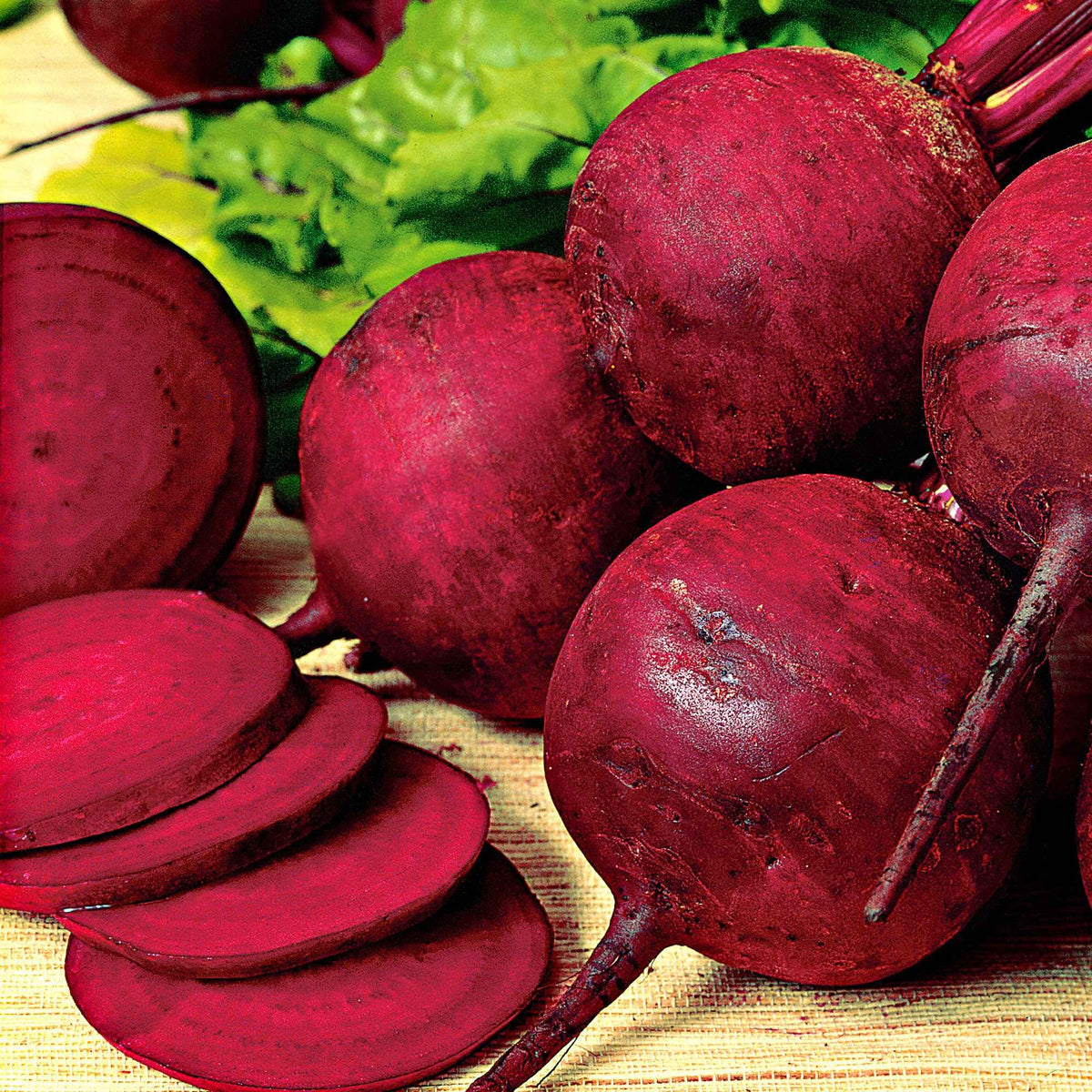 Bieten 'Kogel 2' - Beta vulgaris kogel 2 - Bakker