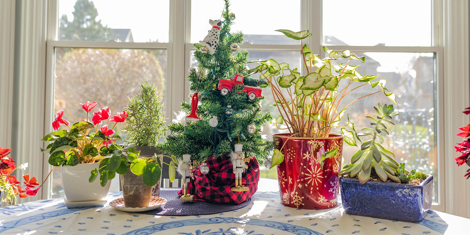 Ontdek de kerstwinkel!