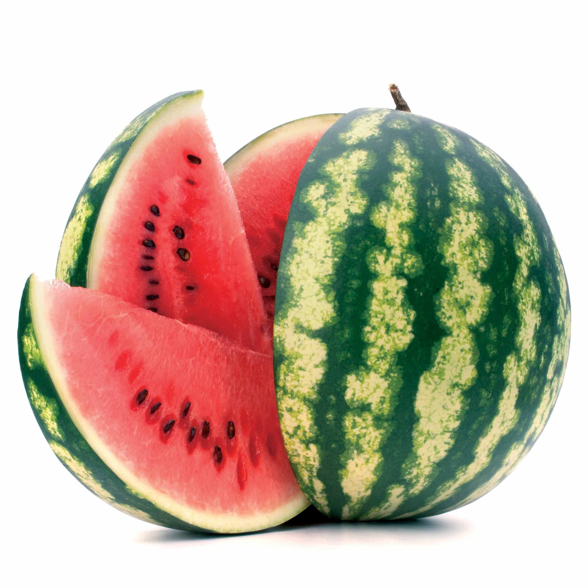 Verkoop Watermeloen 'Crimson Sweet' - Citrullus lanatus Crimson Sweet