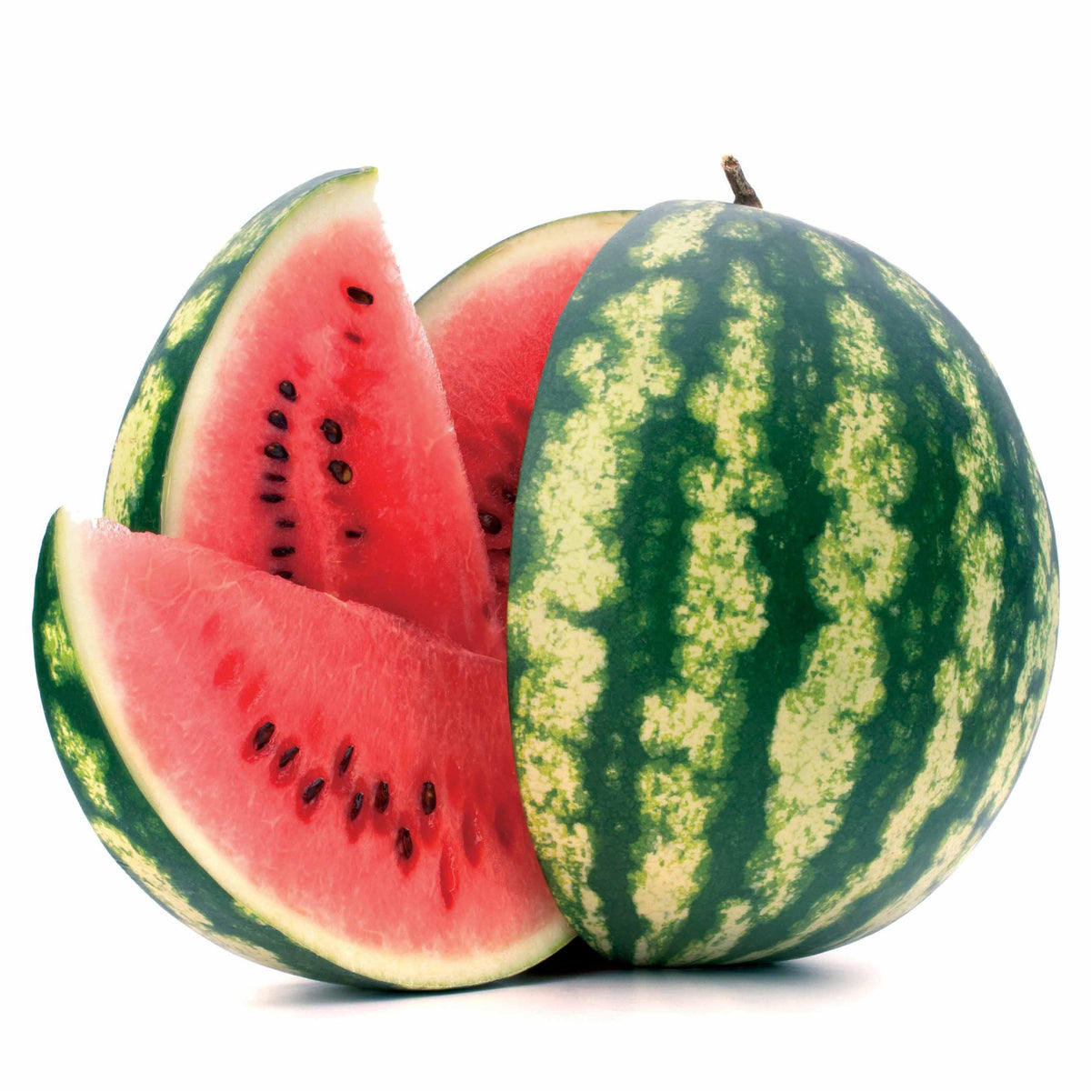 Verkoop Watermeloen 'Crimson Sweet' - Citrullus lanatus Crimson Sweet