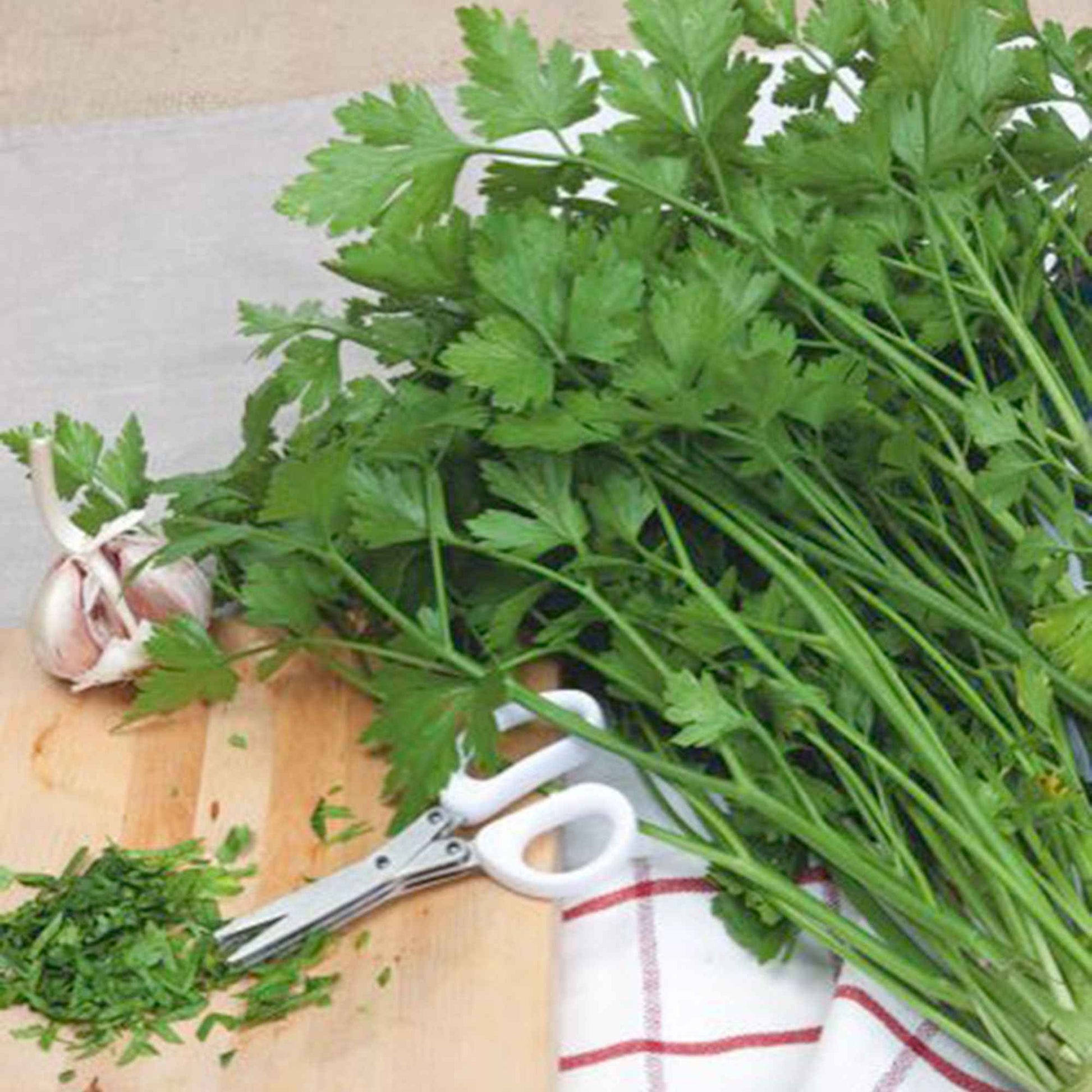 Peterselie 'Gigante d'Italia' - Bakker