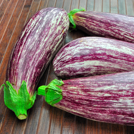 Aubergine 'Listada de Gandia' - Bakker
