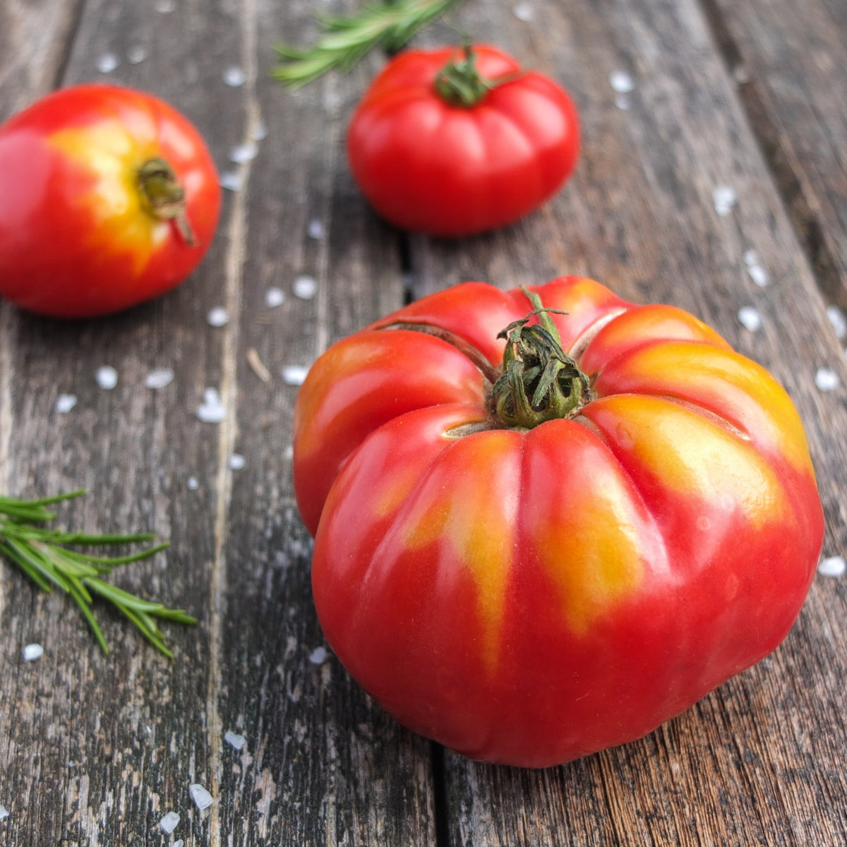 Tomaat 'Marmande' zaden - Solanum lycopersicum Marmande - Bakker