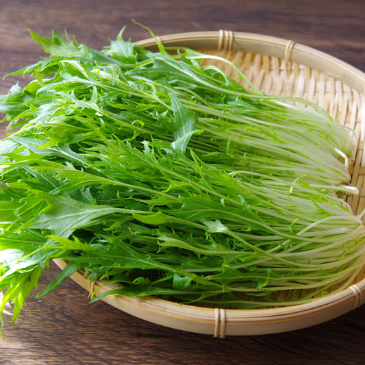 Raapsteel 'Mizuna' - BIO - Bakker