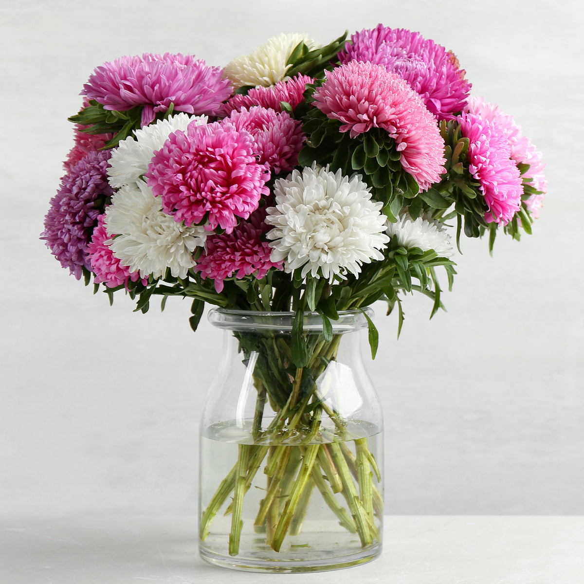 Callistephus chinensis - Zomeraster Mix - Bloemzaden voor perken en borders