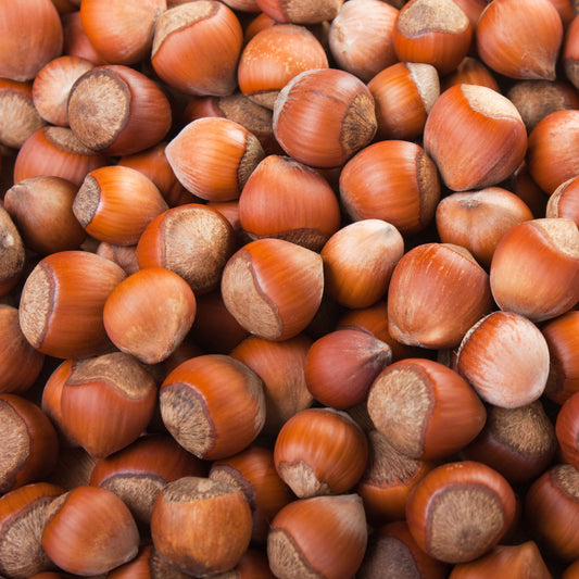 Gewone hazelaar Merveille de Bollwiller - Bakker