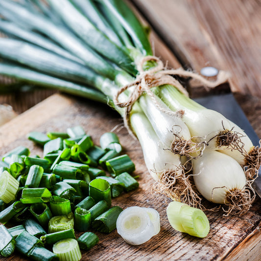 Ui 'White Lisbon' - Bakker