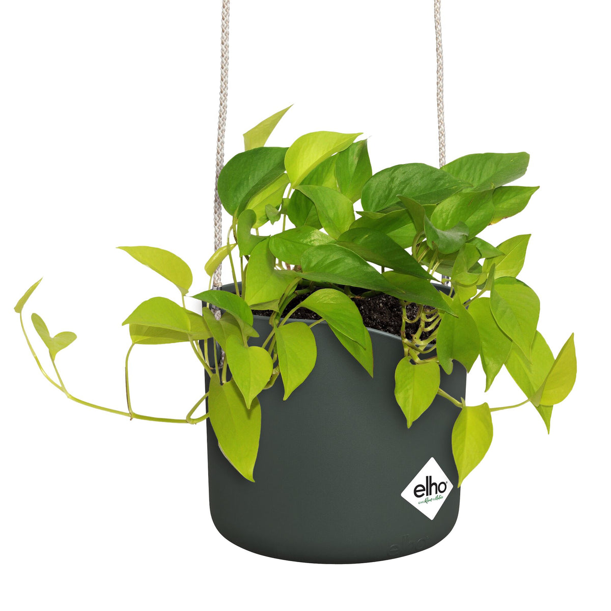 Verkoop Hangpot B voor swing groen ELHO