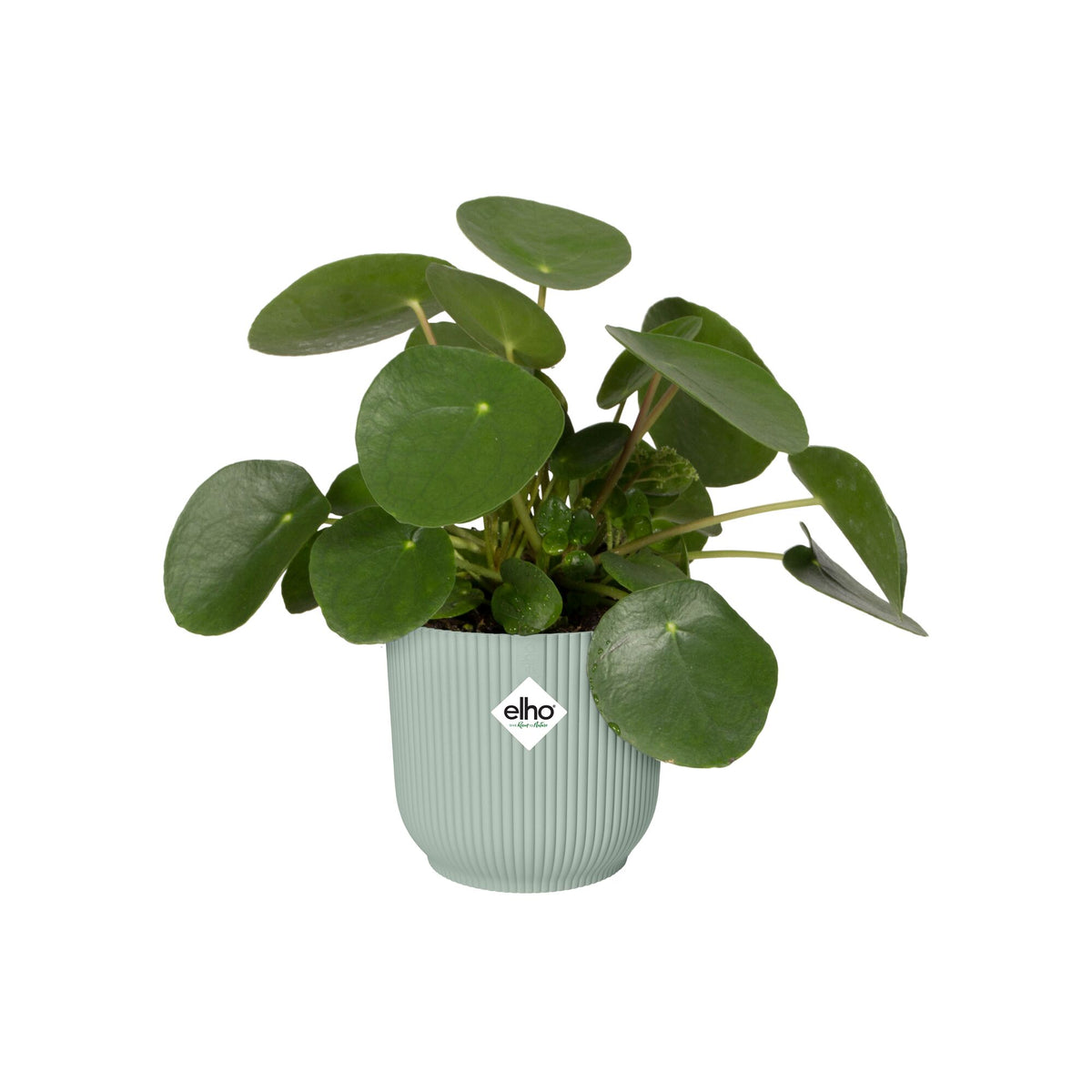 Elho Bloempot Vibes fold rond sorbet groen - - Bakker