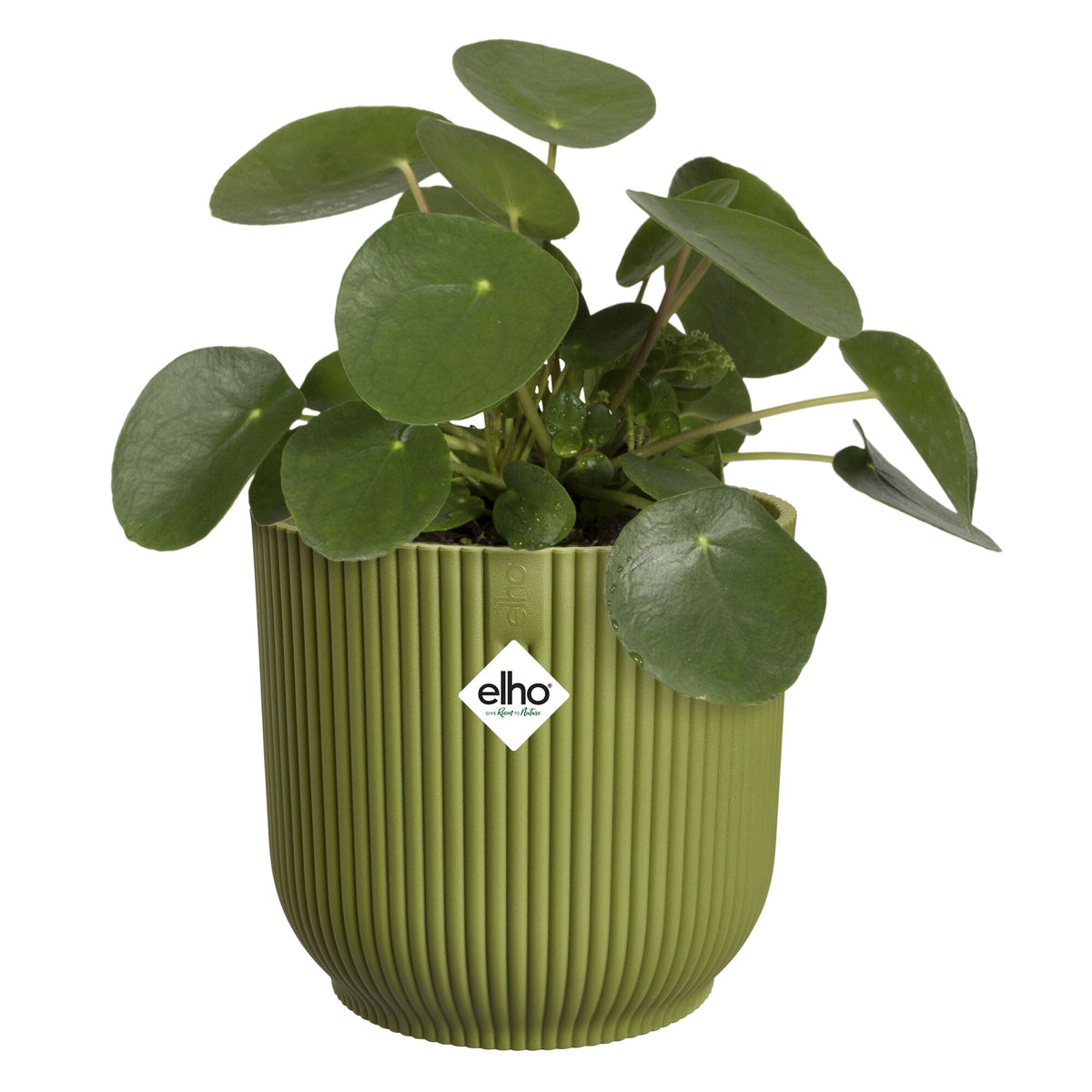 Elho Bloempot Vibes fold rond varengroen - - Bakker