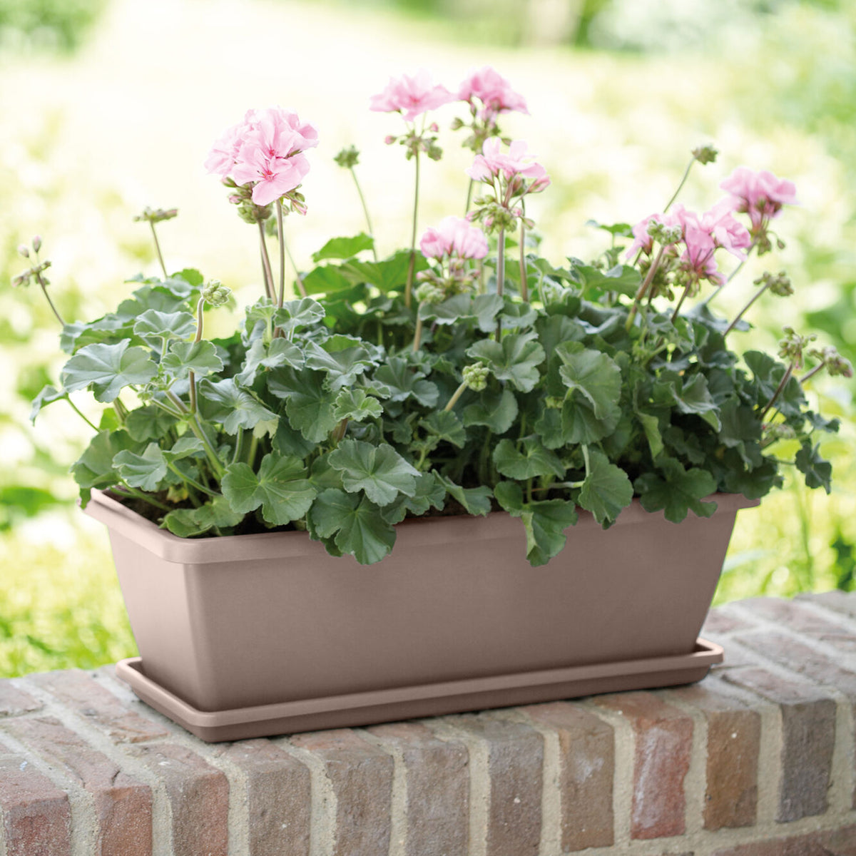 Plantenbak Barcelona Taupe - Bakker