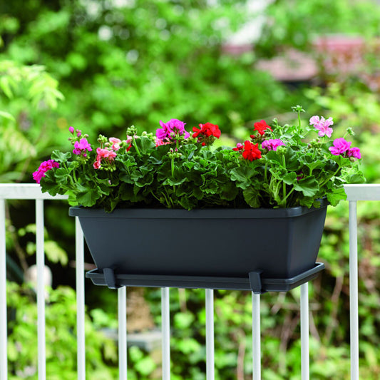 Plantenbak Barcelona Antraciet - Bakker