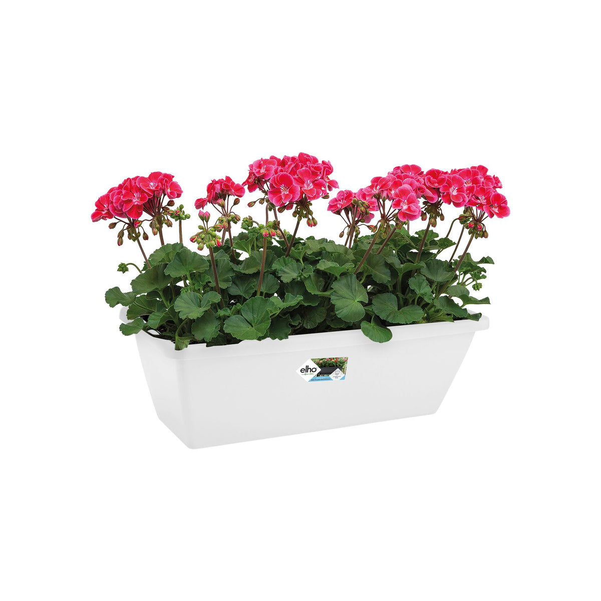 Plantenbak Barcelona Wit - - Bakker