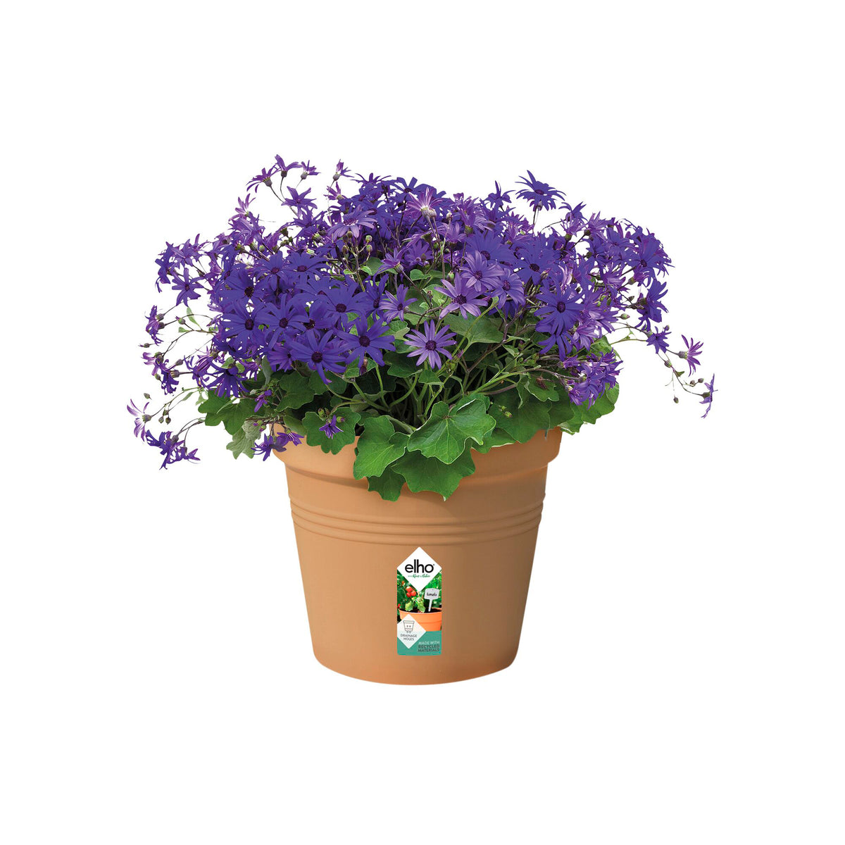 Buitenpotten - Kweekpot Green Basics Mild Terra -