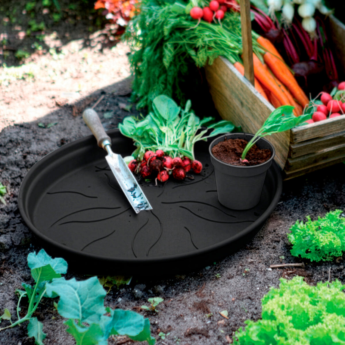 Schotel Green Basics Living black ELHO - - Bakker