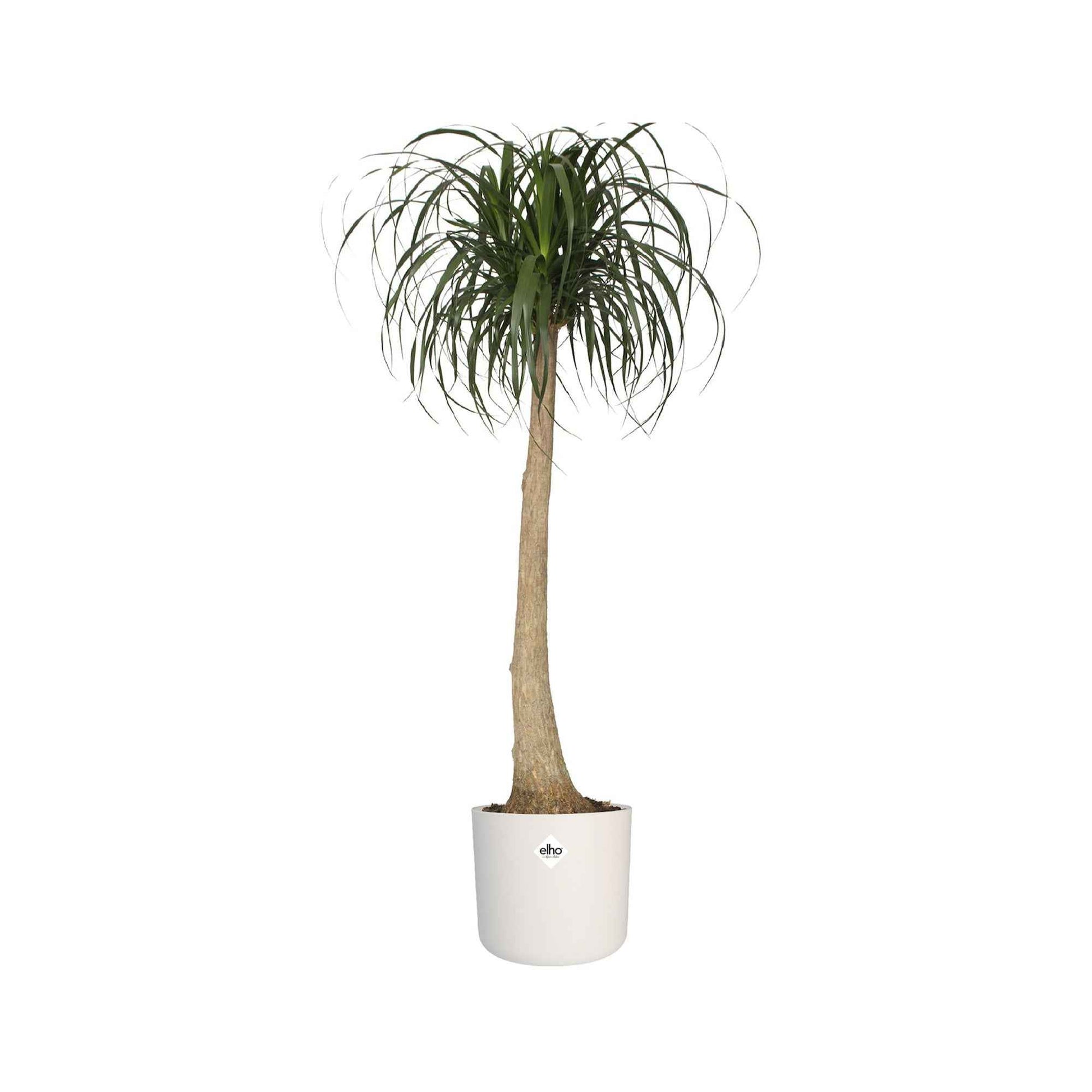 - Elho bloempot B.for soft rond wit - Binnenpot - Onderhoud en Materiaal