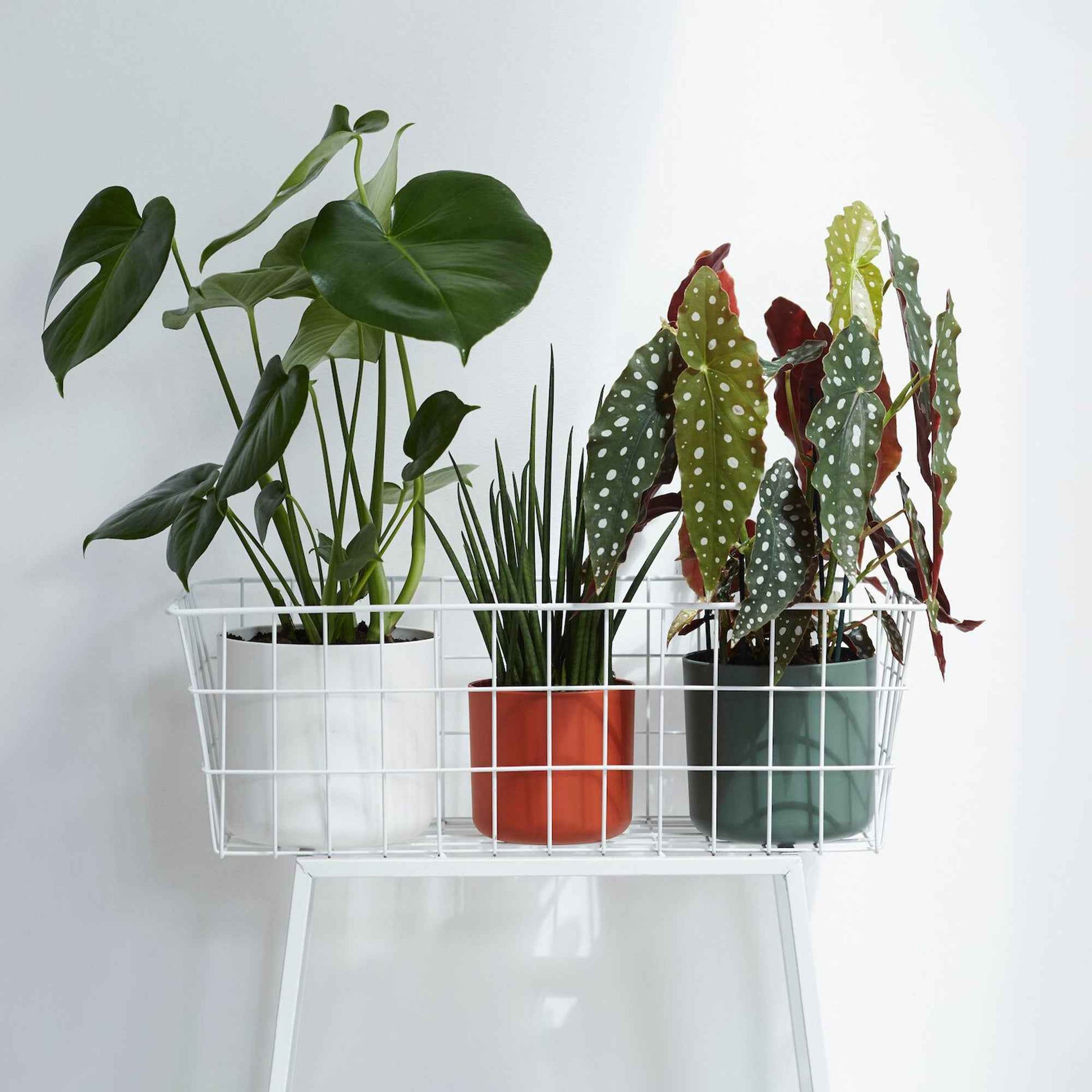 Verkoop Elho bloempot B.for soft rond wit - Binnenpot -