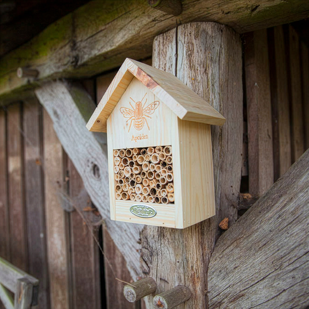 Schuilplaats voor bijen in natuurlijk hout