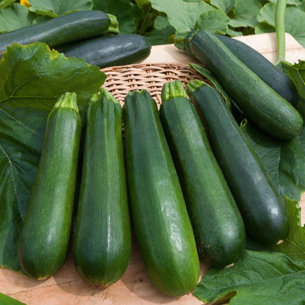 collectie van zaden voor de moestuin -  - Bakker