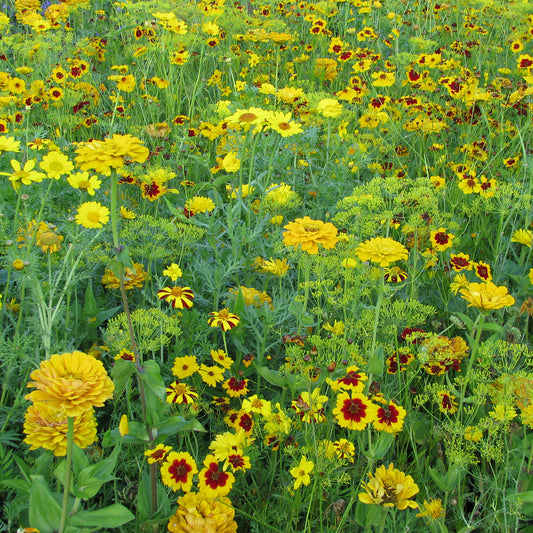 Gouden bloemenmix - Bakker