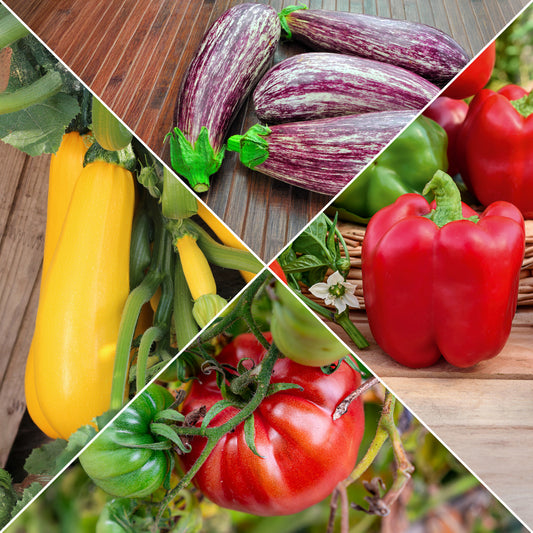 Zonnige groentenzaden Mix - Bakker