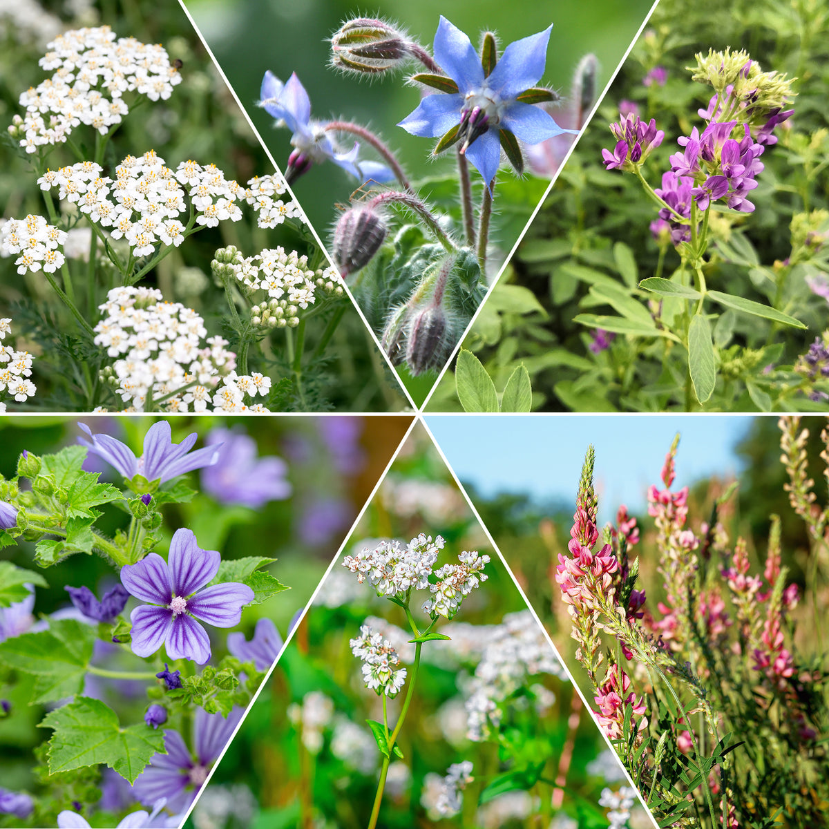 loemenmix voor flora en fauna - Bakker