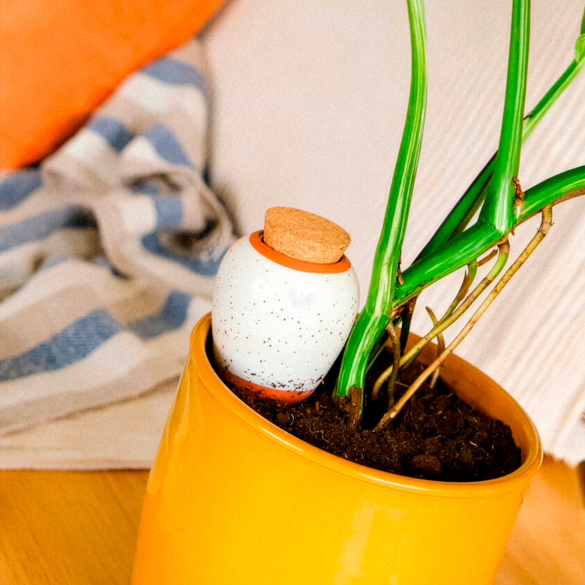 Tuinbewatering - Olla - Korrelig wit -