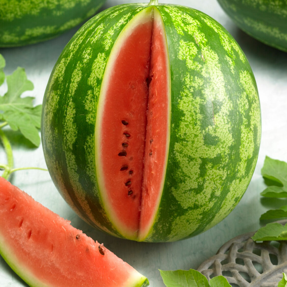 Watermeloen 'Crimson Sweet' - BIO - Citrullus lanatus crimson sweet - Bakker