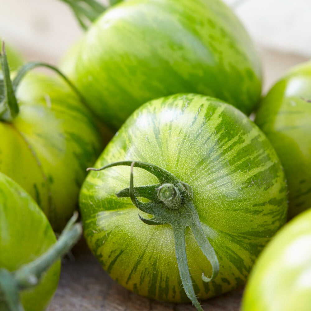 Zaden Tomaat 'Green Zebra' zaden - Lycopersicon lycopersicum Green
