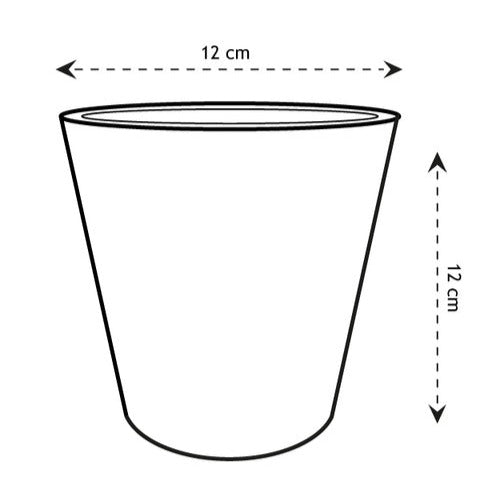 - Zinc Bucket - Onderhoud en Materiaal
