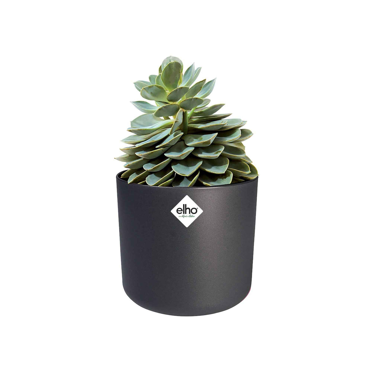 Elho bloempot B.for soft rond antraciet - Binnenpot - - Bakker