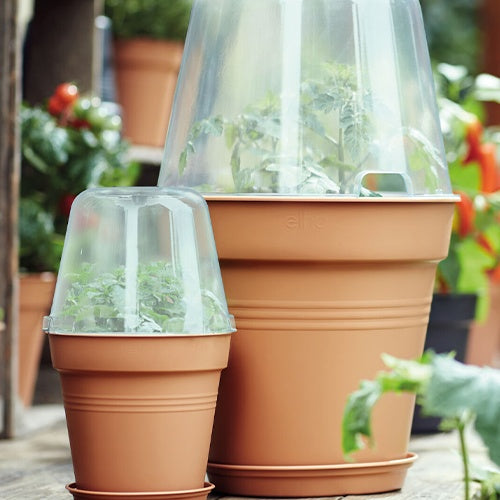 Verkoop Elho Bloempot orchidee -
