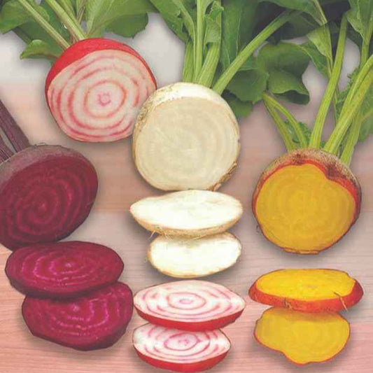 Rode biet Mix 'Hullahup' - Bakker