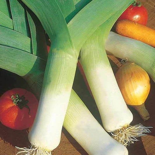 Prei 'Monstreaux de Carentan' - BIO - Bakker