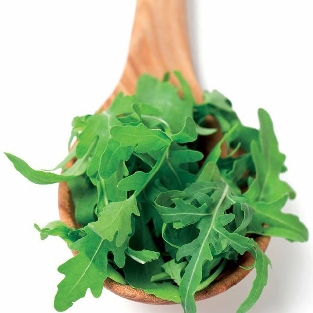 Rucola - BIO - Eruca sativa - Bakker