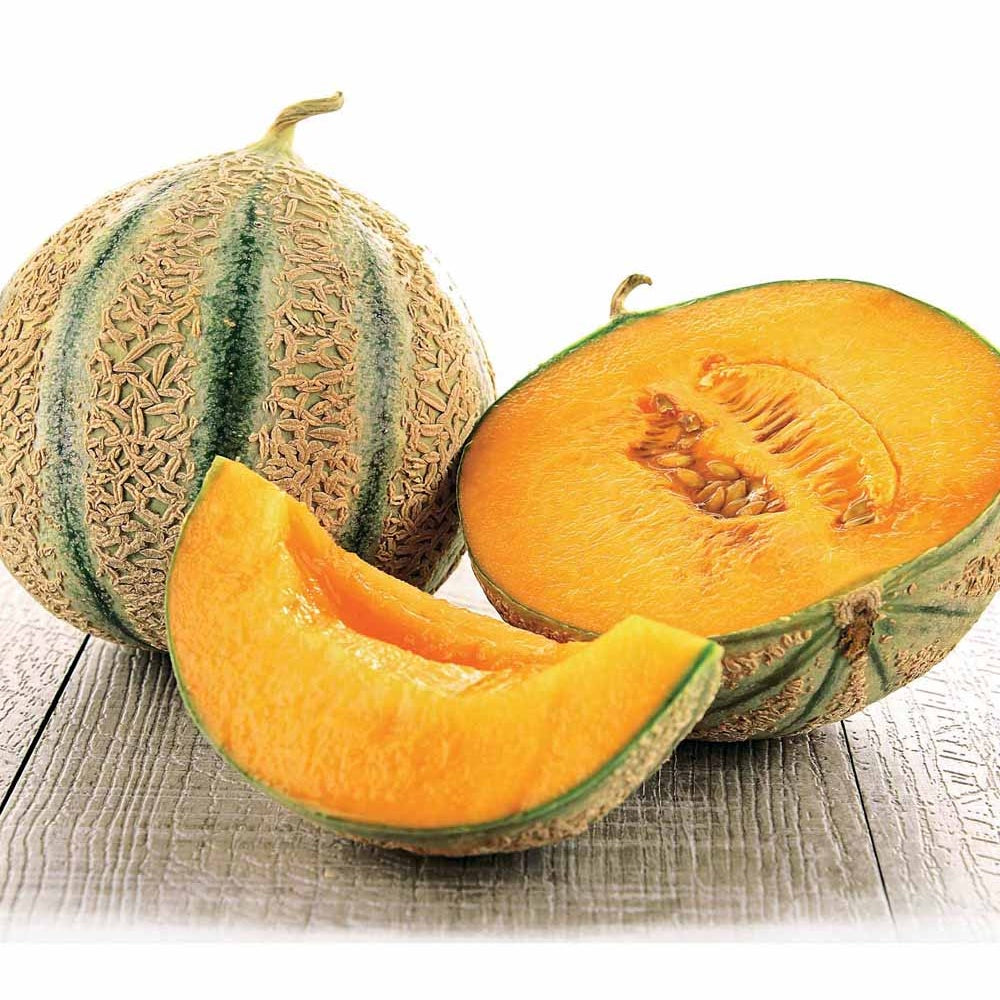 Suikermeloen 'Stellio F1' - Cucumis melo stellio f1 - Bakker