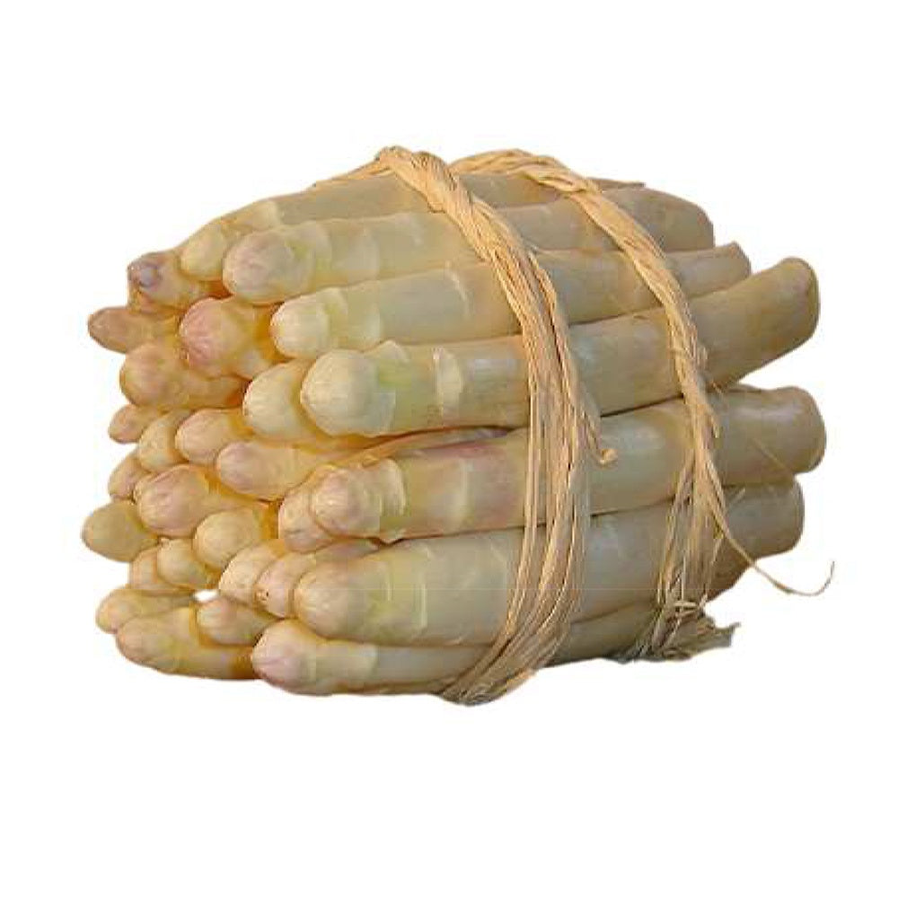 Verkoop Asperge 'Argenteuil' (x10) - Asparagus officinalis argenteuil