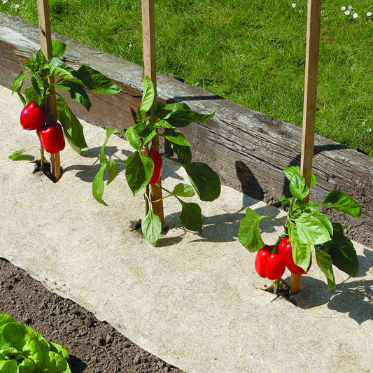 Natuurlijke biologisch afbreekbare mulch Chanvrelin - Moestuin